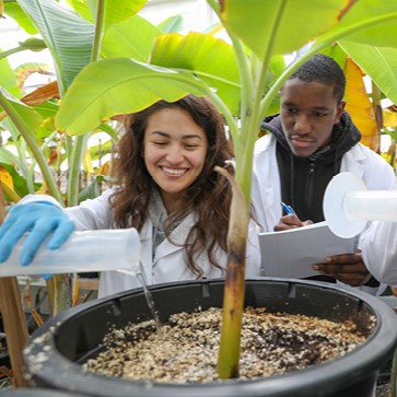 experiential learning partnerships