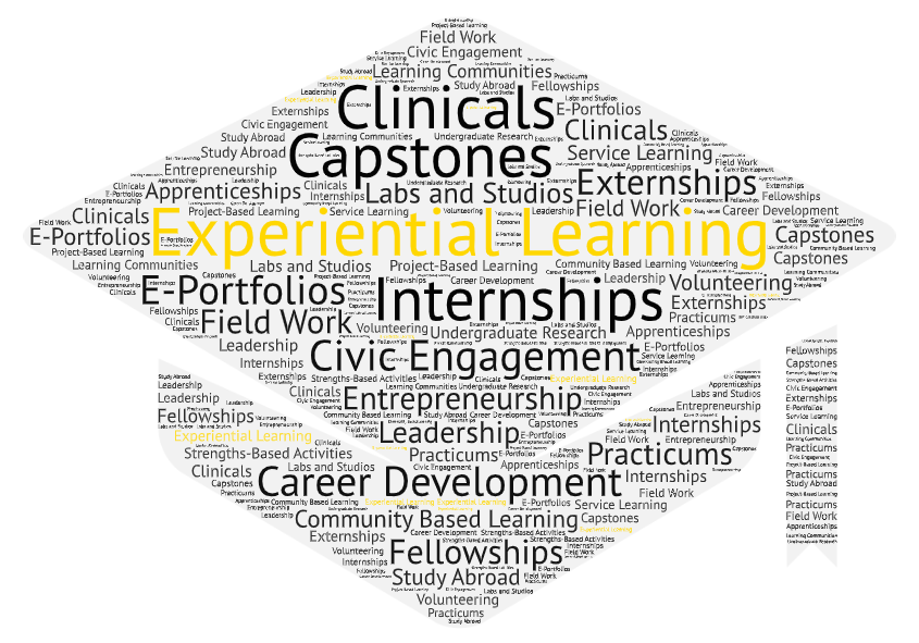 Types of Experiential Learning Activities