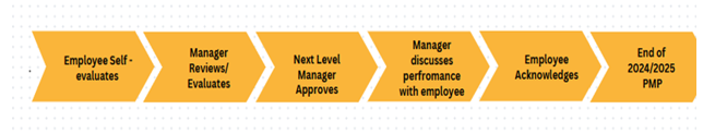 PMP Process Steps