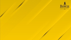 step and repeat teams background